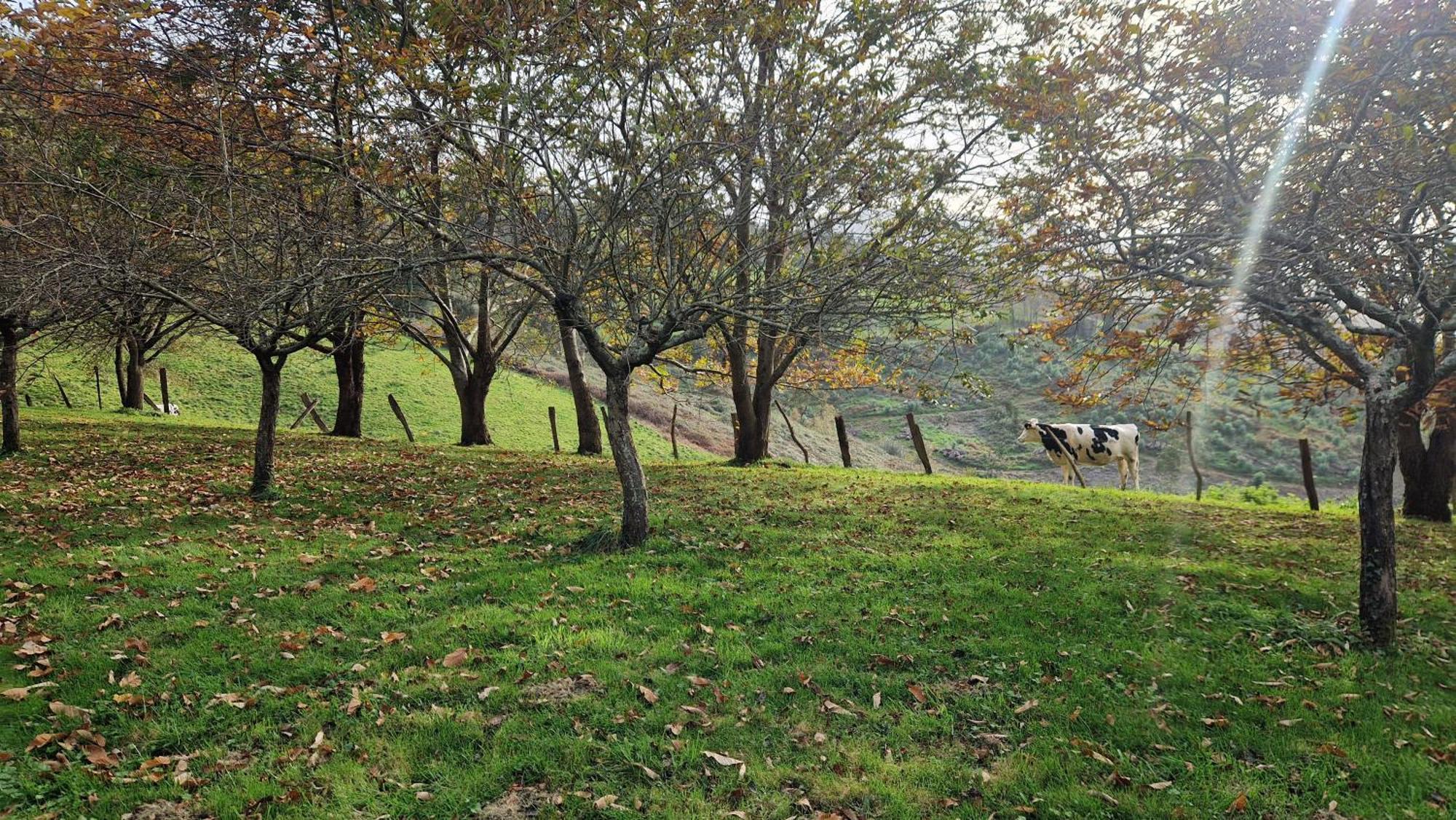 Casa Bezales En Ampuero Cantabria Екстериор снимка